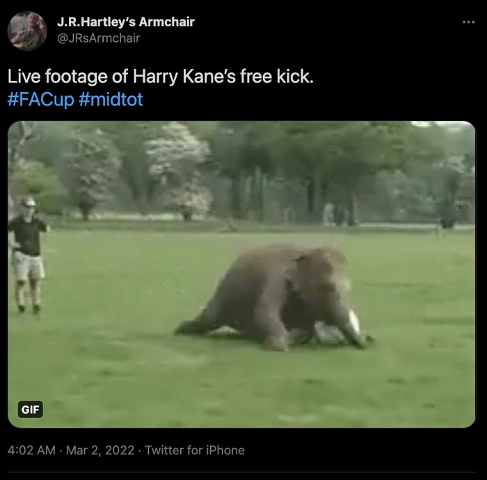 FK Harry Kane FK Harry Kane