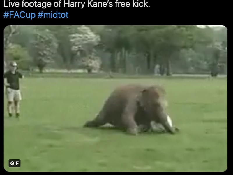 FK Harry Kane