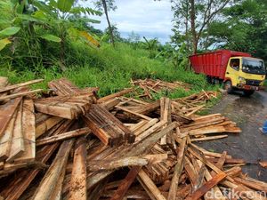 Diduga Panik Saat Truk Standing, Sopir Nekat Loncat Lalu Tewas Tergencet