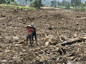 Evakuasi Berlanjut, Basarnas Cari 4 Korban Gempa di Pasaman Sumbar Evakuasi Berlanjut, Basarnas Cari 4 Korban Gempa di Pasaman Sumbar