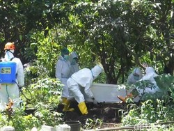 102 Pasien COVID-19 di Kota Malang Meninggal Selama Februari