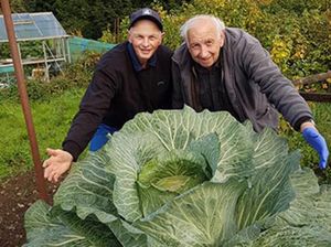 Petani Ini Menangkan Kontes Daun Bawang Raksasa Setelah Meninggal Dunia