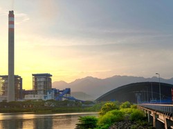 PLN Gandeng Perhutani Sediakan Pasokan Biomassa untuk Proyek PLTU