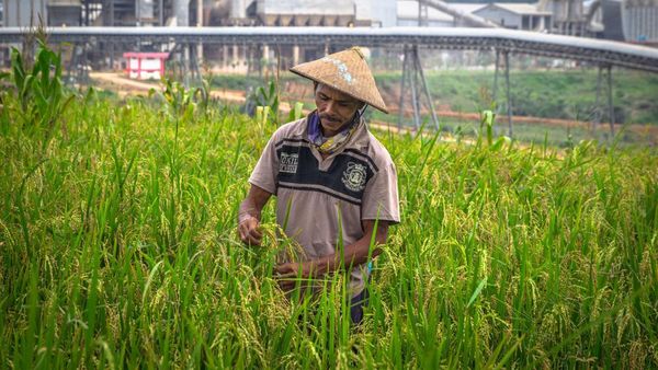 Semen Indonesia Dukung Penurunan Emisi Karbon