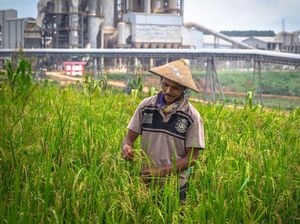 Semen Indonesia Dukung Penurunan Emisi Karbon