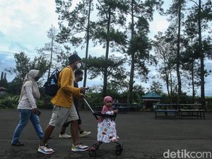Long Weekend, Pengunjung Tempat Wisata Puncak Meningkat Long Weekend, Pengunjung Tempat Wisata Puncak Meningkat