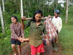 Viral Ibu Melahirkan Digotong Pakai Sarung, Begini Kondisi Sebenarnya