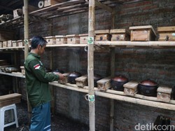 Budidaya Lebah Klanceng, Pria Jepara Cuan Jutaan Rupiah Tiap Bulan