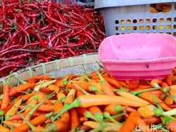 Harga Sembako Jogja Hari Ini 17 Desember 2025: Rawit Merah Lanjut Turun!