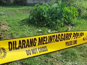 Warga Rajang Lebong Bengkulu Temukan Tulang Manusia di Perkebunan Warga Rajang Lebong Bengkulu Temukan Tulang Manusia di Perkebunan