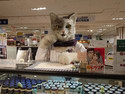 Kreatif! Penjual Puding Ini Pakai Kostum Kucing Buat Tarik Pelanggan