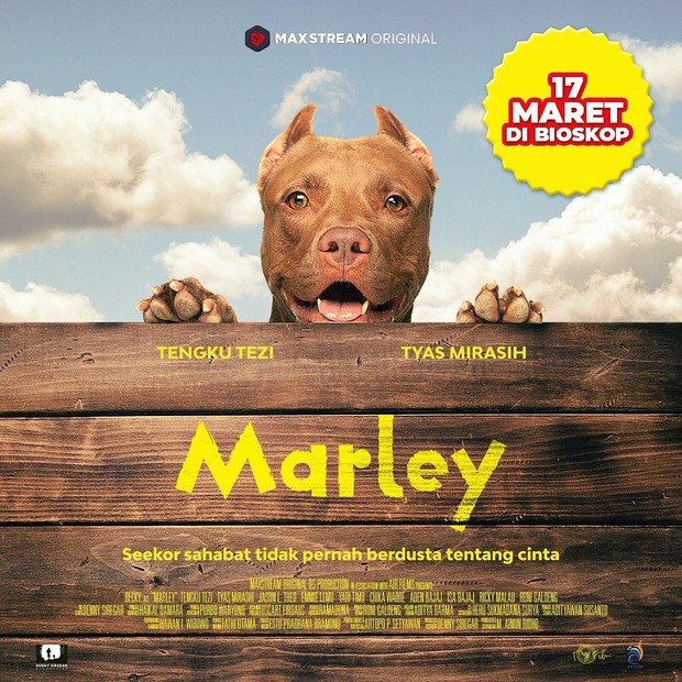 Poster Film Marley/Foto:instagram?@tengkutezi Poster Film Marley
