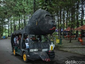 Potret Wisata Puncak yang Kerap Didatangi Wisatawan Meski Macet-macetan