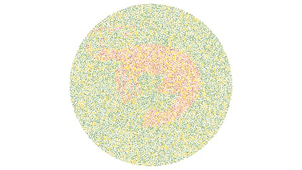 Tes Lihat Warna, Tebak Siluet Hewan dan Buktikan Kamu Nggak Buta Warna