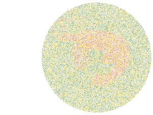 Tes Lihat Warna, Tebak Siluet Hewan dan Buktikan Kamu Nggak Buta Warna