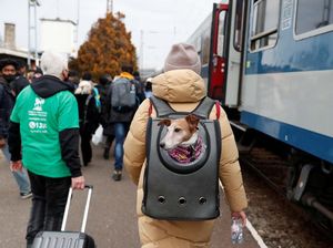 Pasangan Ini Pergi ke Ukraina untuk Selamatkan Satwa dari Perang