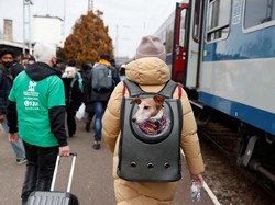 Pasangan Ini Pergi ke Ukraina untuk Selamatkan Satwa dari Perang
