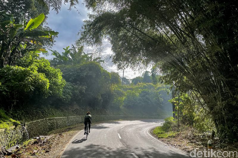 Pesepeda uphill, terutama para nubie di Jakarta atau Bandung, menempatkan Wayang Windu di prioritas pertama. Selain karena tanjakan panjang yang bersahabat, juga karena pemandangannya yang spektakuler. Cocok untuk olahraga sembari piknik mata. Healing