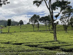 Wisata Wayang Windu: Harga Tiket, Jam Buka, hingga Daya Tariknya