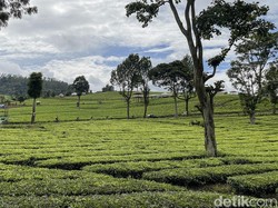 Wisata Wayang Windu: Harga Tiket, Jam Buka, hingga Daya Tariknya