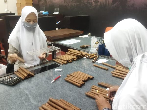 Ini Dia Cerutu Made In Jember yang Mendunia