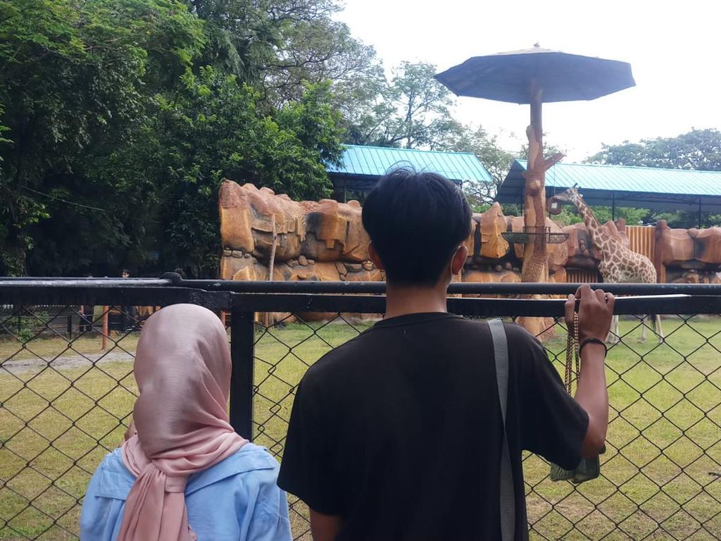 Libur Nyepi, Kebun Binatang Surabaya Diserbu Lebih 7 Ribu Pengunjung