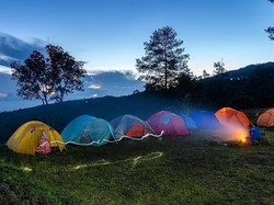 Rekomendasi 5 Tempat Kemah Instagramable di Lereng Bromo, Dijamin Asyik!