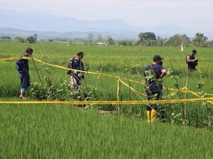 Misteri Mayat Wanita Payudara-Kemaluan Terpotong di Tegal Mulai Terkuak Misteri Mayat Wanita Payudara-Kemaluan Terpotong di Tegal Mulai Terkuak