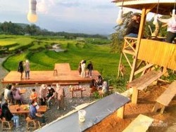 Menikmati Sensasi Semangkuk Mieso di Kaki Gunung Sago