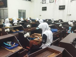 Eksistensi Cerutu Made In Jember yang Kulitasnya Diakui Dunia