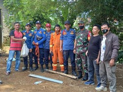Ketemu Lagi! Kobra Ngumpet di Sumur Warga Bogor, Panjangnya 1,5 Meter