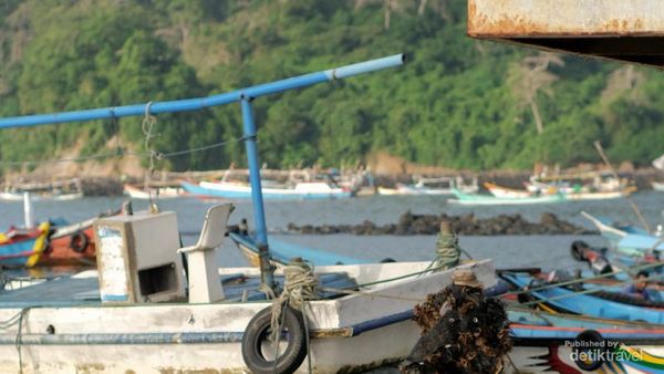 Pelelangan Ikan Pancer Banyuwangi, Cocok Buat Dikunjungi Weekend Ini