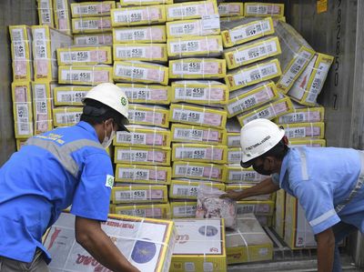 Daging Kerbau India Mulai Masuk RI