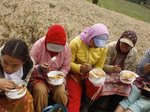 Daftar Harga Mi Instan yang Kenaikannya Tak Bisa Dihindari