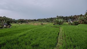 Potret Desa Cisaat Subang yang Bikin Sandiaga Kepincut