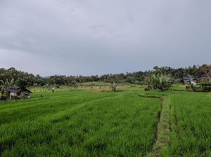 Potret Desa Cisaat Subang yang Bikin Sandiaga Kepincut