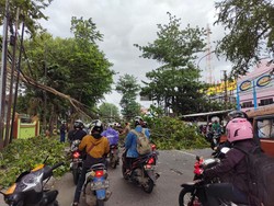 Angin Kencang Bikin Pohon Tumbang di Juanda Bekasi, Lalin Sempat Macet Parah