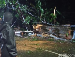 Hujan Angin Terjang Cirebon, Pohon Tumbang Timpa Mobil