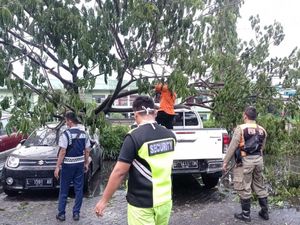 Pohon Tumbang Timpa Mobil di Halaman RS PHC Surabaya