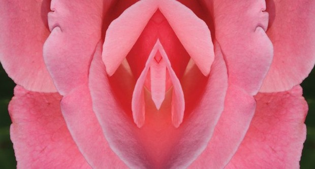 Resiko menggunakan celana dalam ketat/Foto: pinterest.com/Vitalize Magazine Resiko menggunakan celana dalam ketat/Foto: pinterest.com/Vitalize Magazine