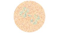 Tes Buta Warna, Bisa Lihat Angka di Gambar Ini dan Tebak Hasilnya?