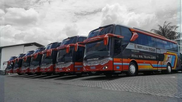 Bikin Mania Terkecoh, Ini Potret Bus MHD Rosalia Indah yang Menyerupai Double Decker