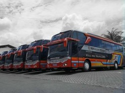 Ini Hasil Investigasi PO Rosalia Indah soal Barang Hilang di Bus