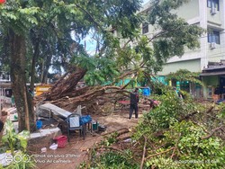 Pohon Beringin 12 Meter Tumbang Timpa Lapak Pedagang di Tangsel