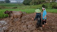 Penasaran? Ini Bali-nya Majalengka