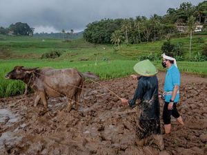 Penasaran? Ini Bali-nya Majalengka