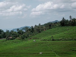 Sandiaga Puji Desa Wisata di Majalengka: Cantik Seperti di Bali
