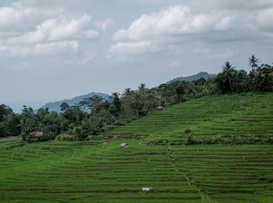 Sandiaga Puji Desa Wisata di Majalengka: Cantik Seperti di Bali Sandiaga Puji Desa Wisata di Majalengka: Cantik Seperti di Bali