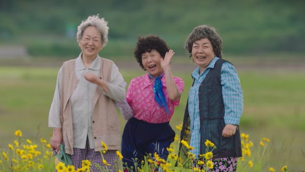 Trio halmonie yang tetap berdaya meski sudah tua