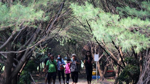 Tahura Pakal, Solusi Ngadem di Surabaya